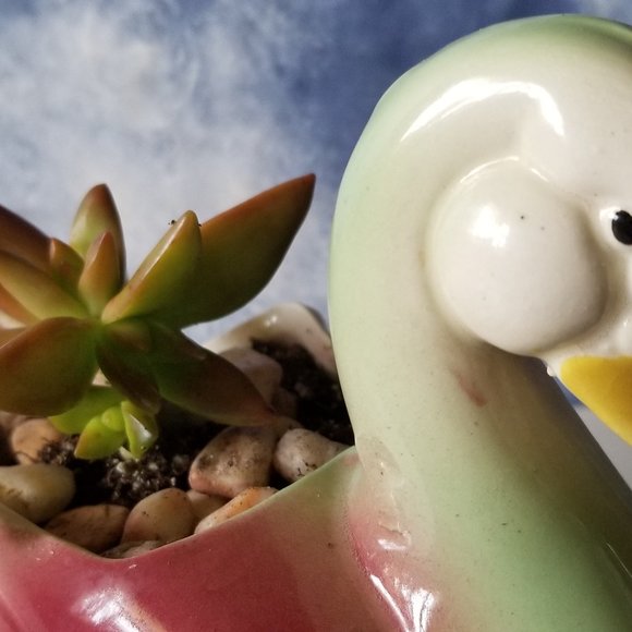 Beautiful Duck / Swan Planter With Succulent - Picture 2 of 10